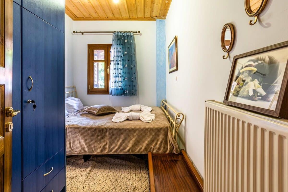 Stemnitsa Stone Residence - Comfy Mountain Getaway Buitenkant foto